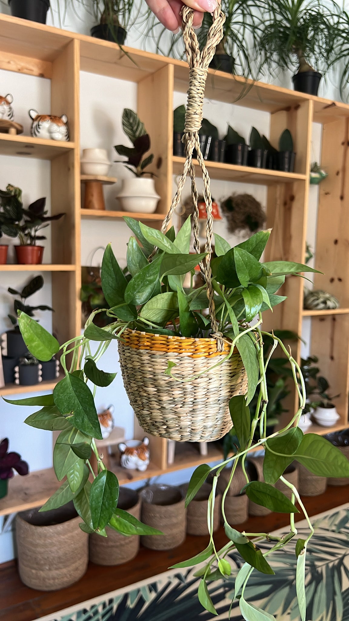 Natural & Yellow Hanging Basket